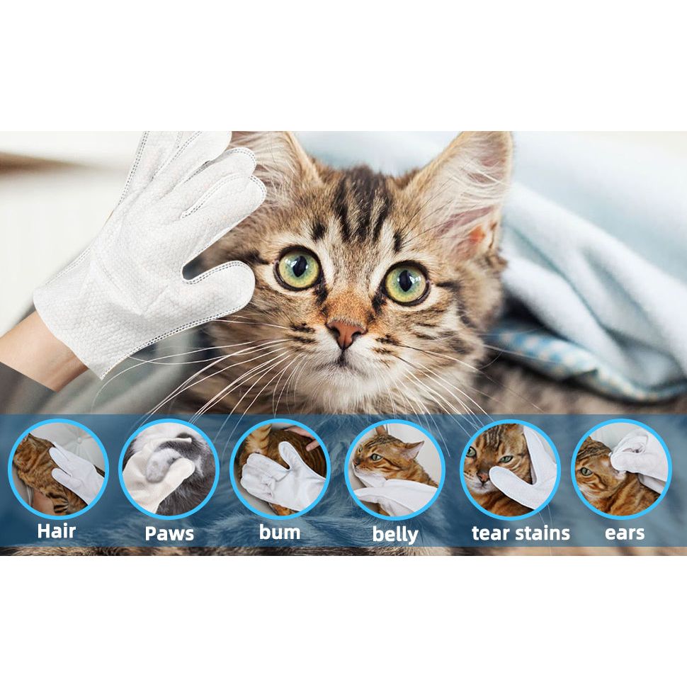 Pet Washing Glove Wipes for Dog and Cat,Travel 6 PCS