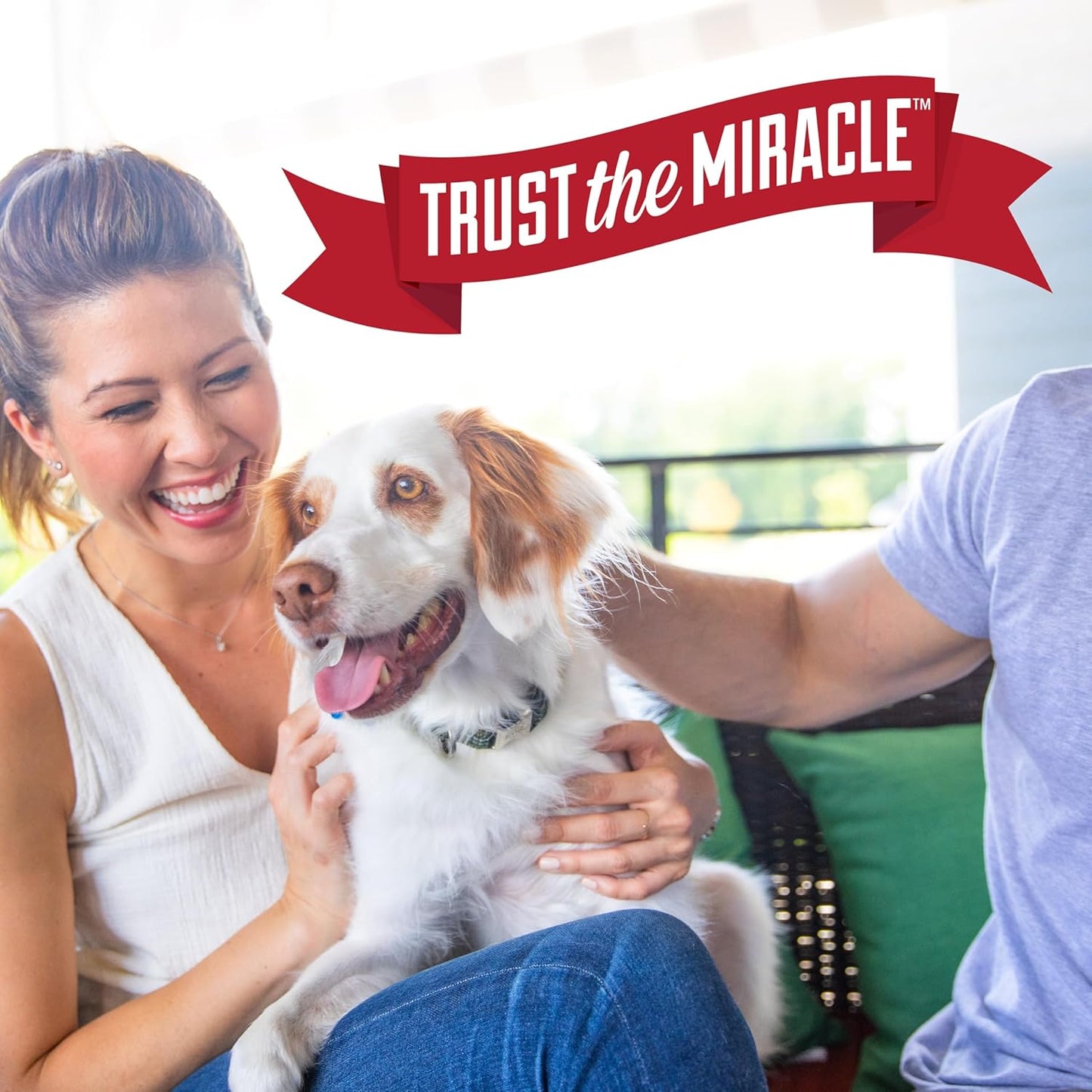 Nature’s Miracle Advanced Dog Stain & Odour Eliminator, 946ml - Enzymatic Formula, Sunny Lemon Scent, Multi-Surface Cleaner for Pet Urine, Carpet & Furniture, Trigger Spray