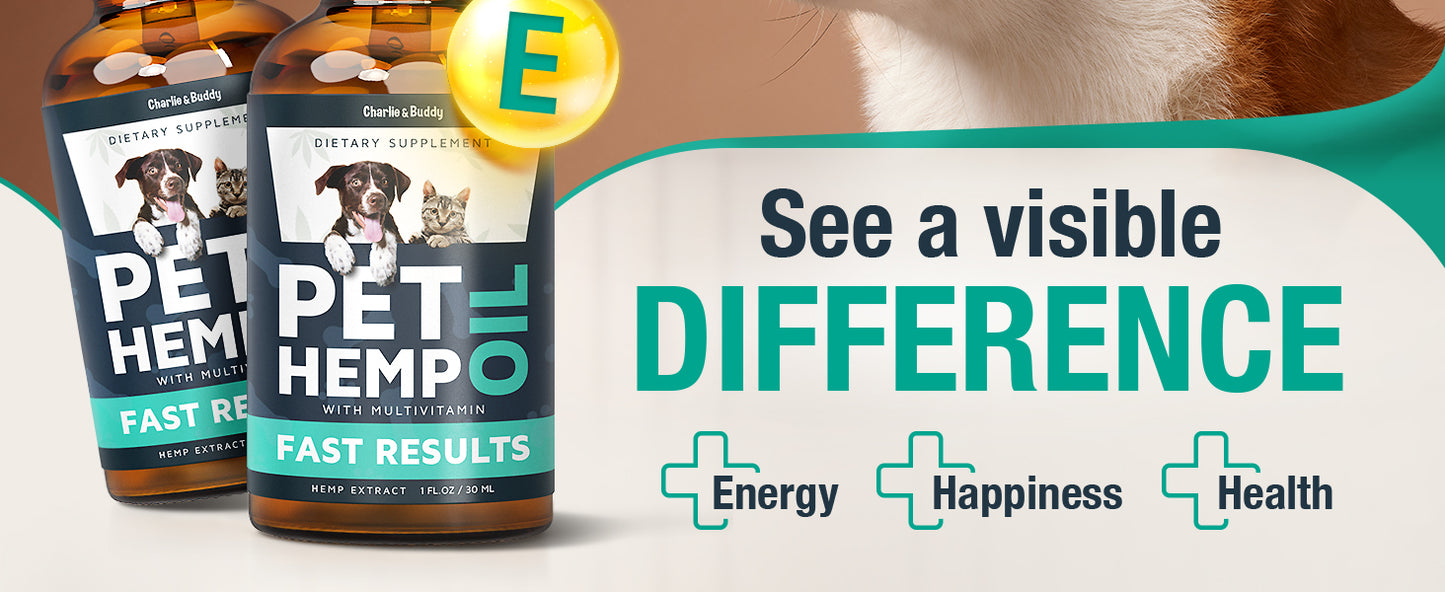 Charlie & Buddy Hemp Oil for Dogs & Cats – Calming, Pain & Anxiety Relief, Joint Health, Seizure Support