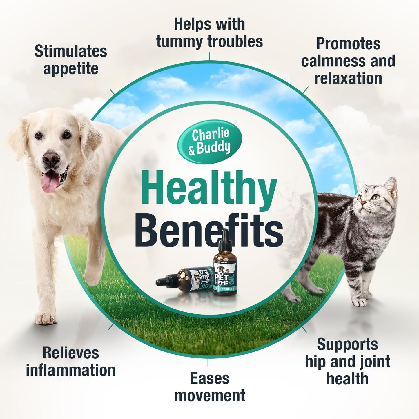 Charlie & Buddy Hemp Oil for Dogs & Cats – Calming, Pain & Anxiety Relief, Joint Health, Seizure Support