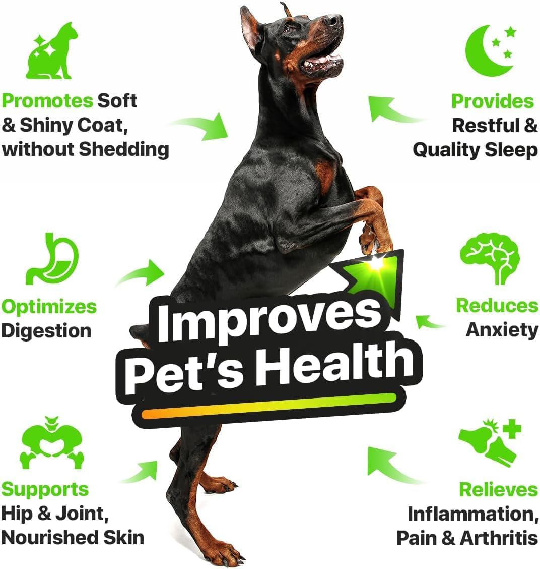 Charlie & Buddy Hemp Oil for Dogs – Omega 3, 6, 9 for Skin, Coat, Anxiety & Joint Relief