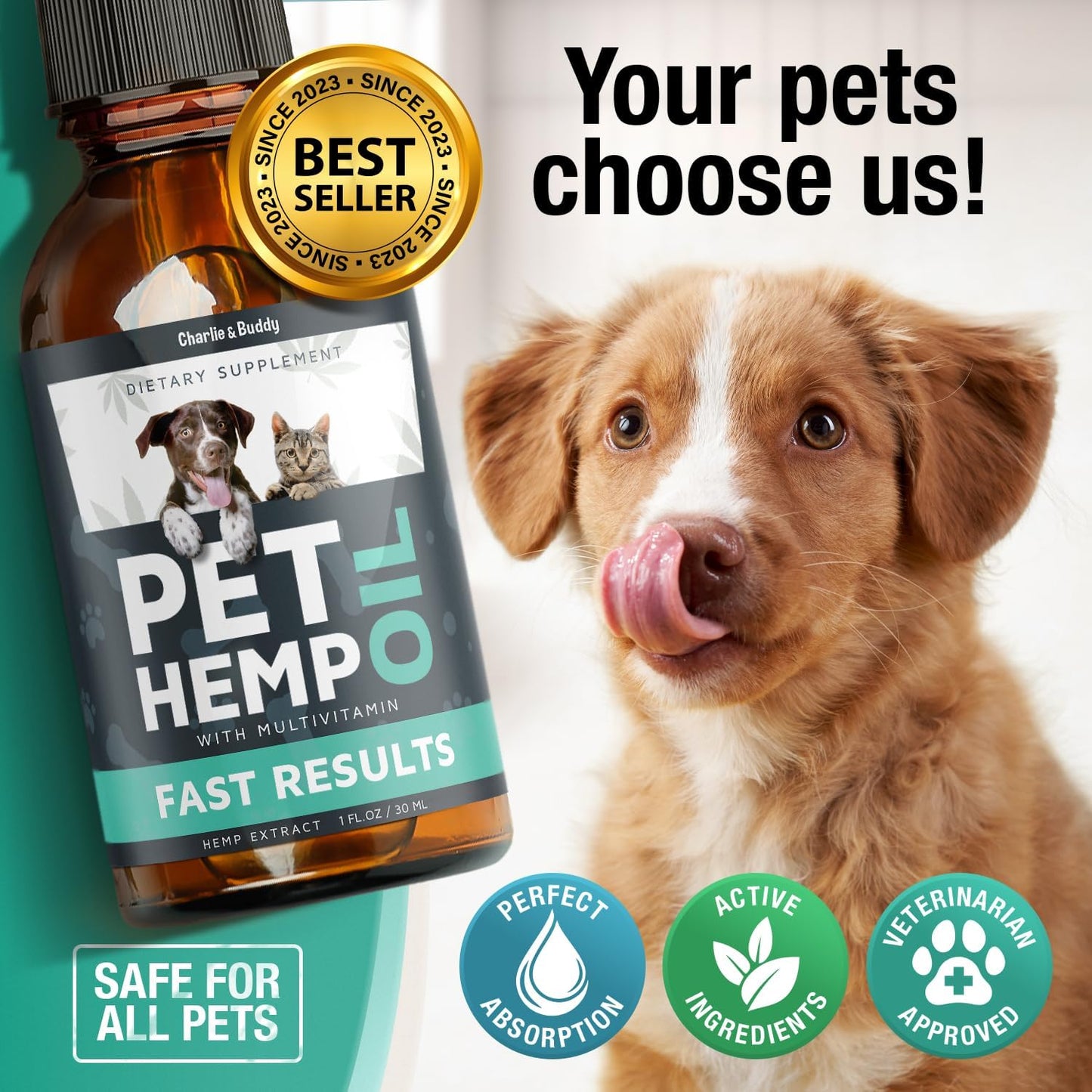 Charlie & Buddy Hemp Oil for Dogs & Cats – Calming, Pain & Anxiety Relief, Joint Health, Seizure Support
