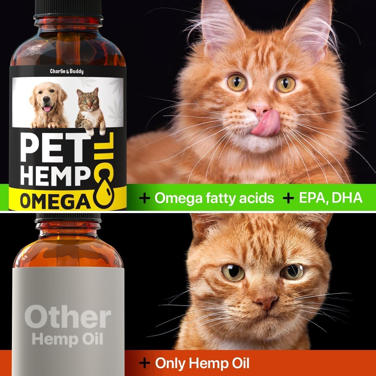 Charlie & Buddy Hemp Oil for Dogs – Omega 3, 6, 9 for Skin, Coat, Anxiety & Joint Relief