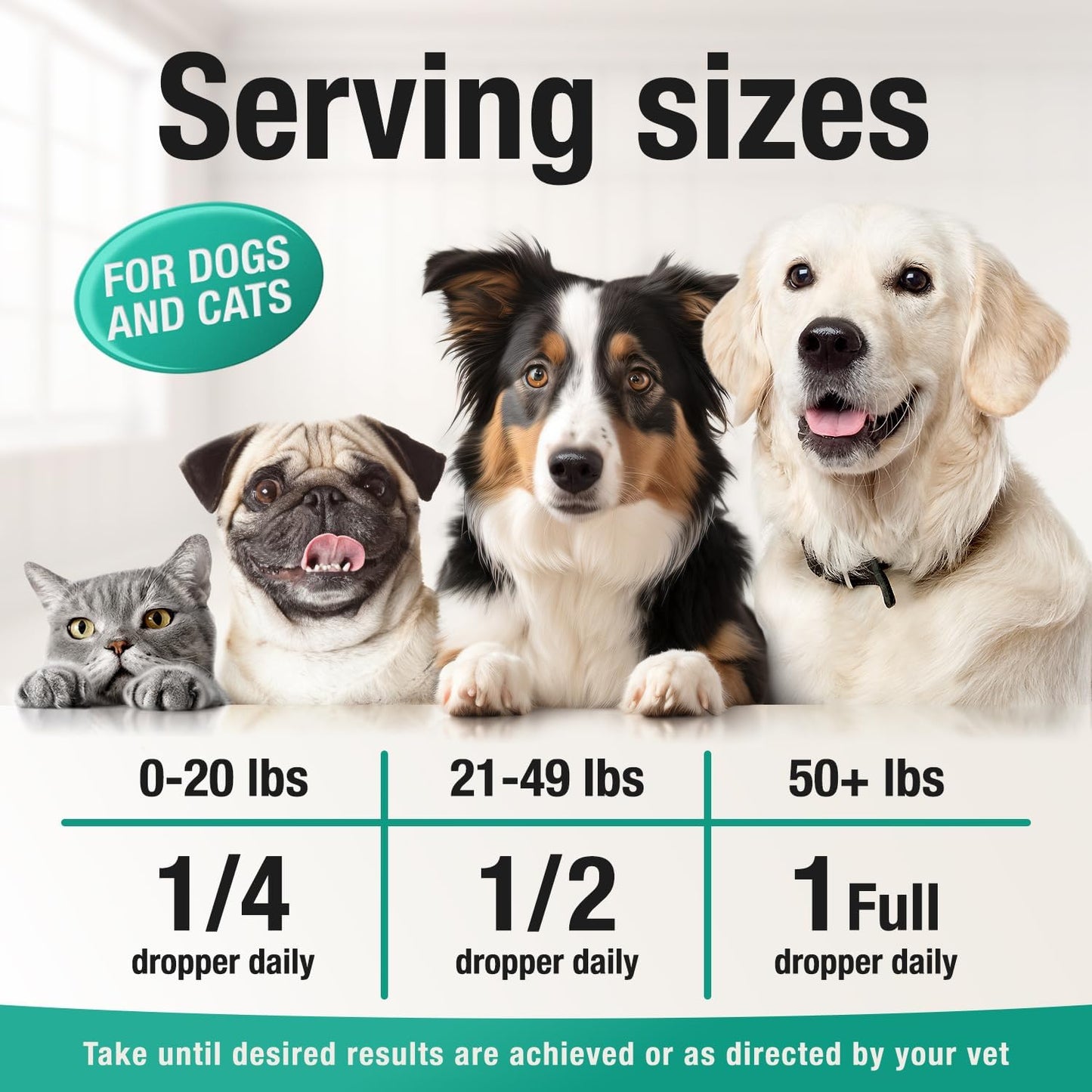 Charlie & Buddy Hemp Oil for Dogs & Cats – Calming, Pain & Anxiety Relief, Joint Health, Seizure Support