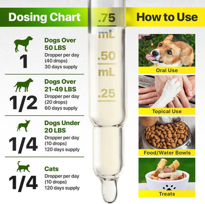 Charlie & Buddy Hemp Oil for Dogs – Omega 3, 6, 9 for Skin, Coat, Anxiety & Joint Relief