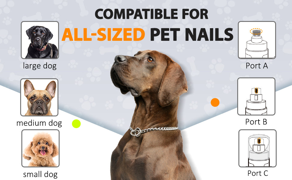 IREDOON Upgraded Dog Nail Grinder – 3-Speed, Quiet & Low Vibration with 4 LED Lights for Painless Grooming (Green)